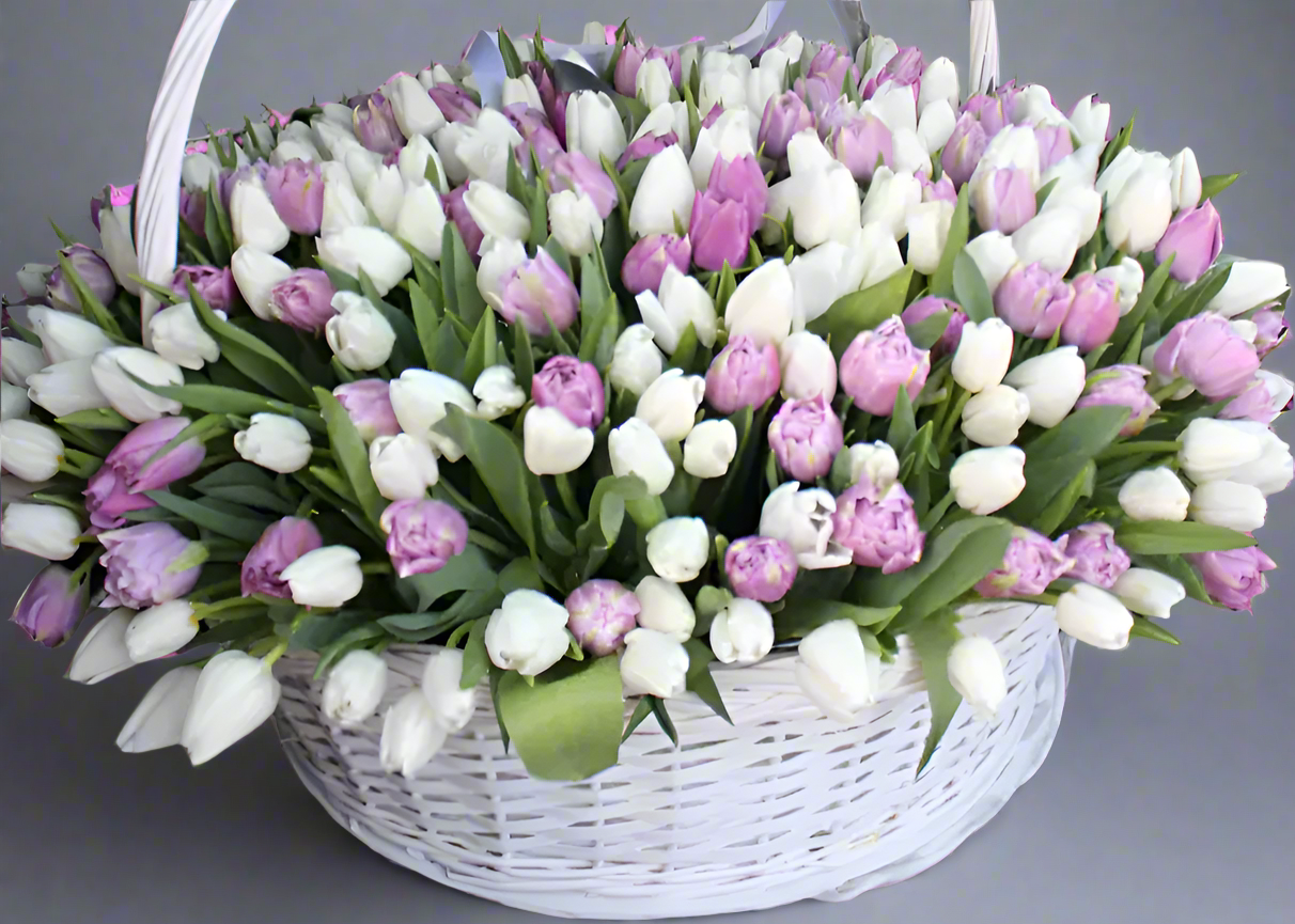 Tulip Majesty  in a Basket. 300 exquisite tulips.