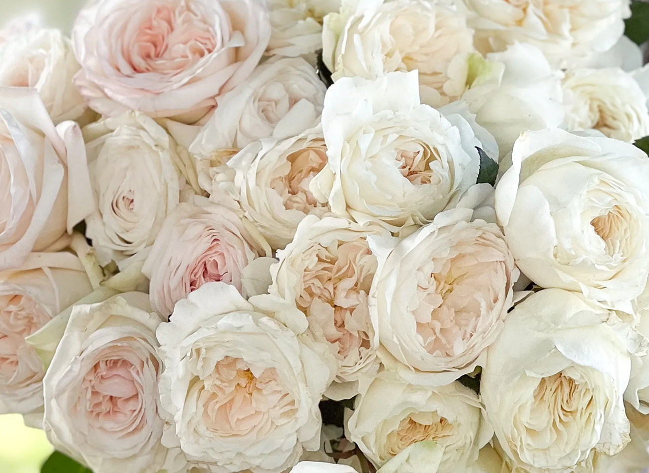 giant luxury flower arrangements LA