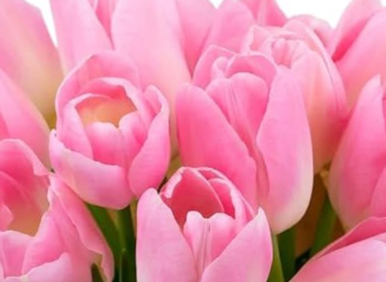 giant luxury flower arrangements LA