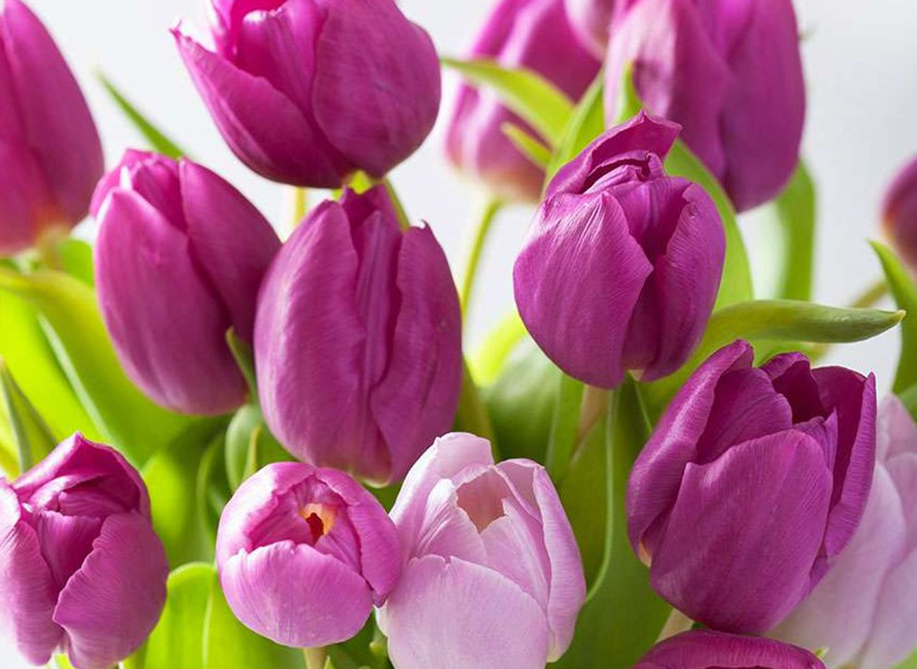 giant luxury flower arrangements LA