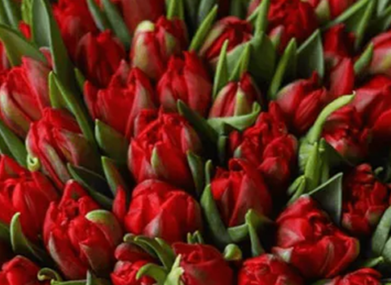 giant luxury flower arrangements LA