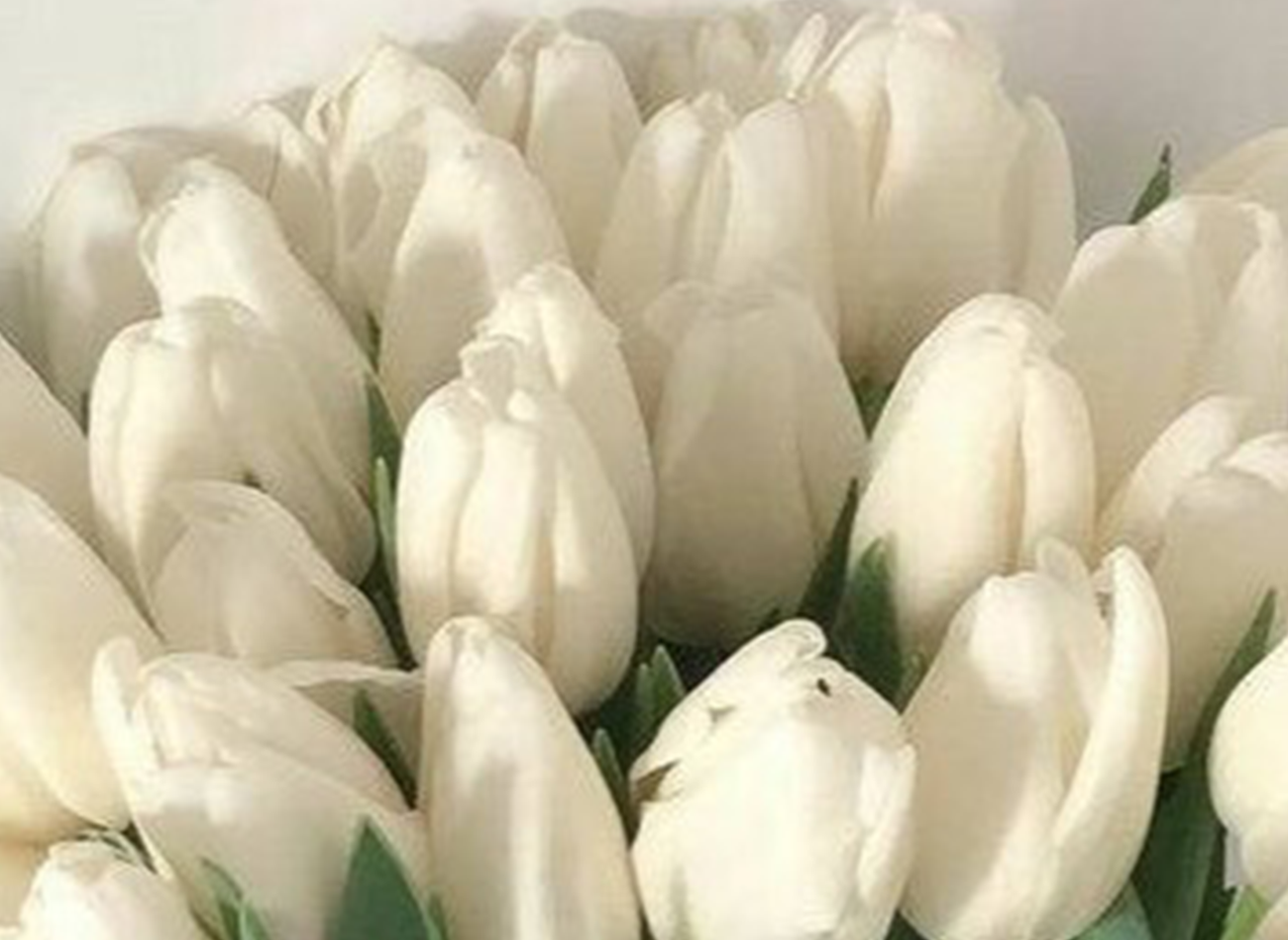 giant luxury flower arrangements LA